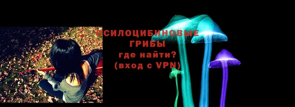 спиды Заволжье