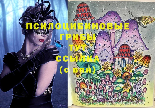 спиды Заволжье