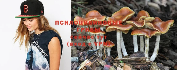 герыч Заволжск