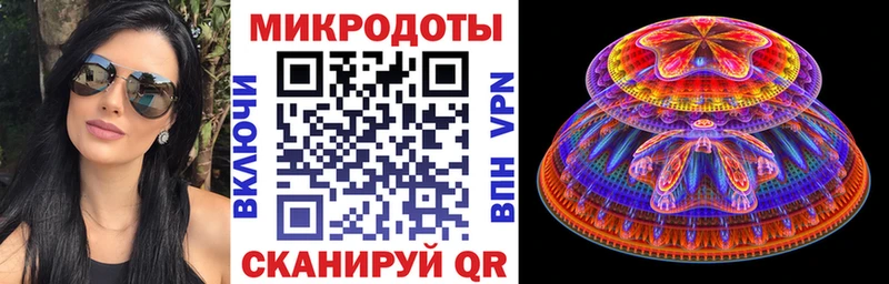 shop наркотические препараты  Петропавловск-Камчатский  Галлюциногенные грибы Psilocybe 